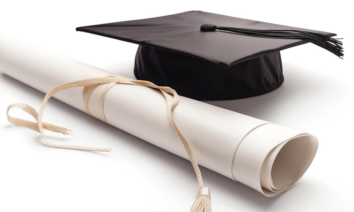 Apoyo en Tesis y Proyectos